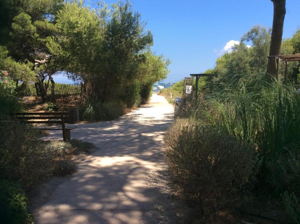 La Badine 5P Plage Piscine Clim Jacuzzi Parc Luxuriant Hyères Eksteriør billede