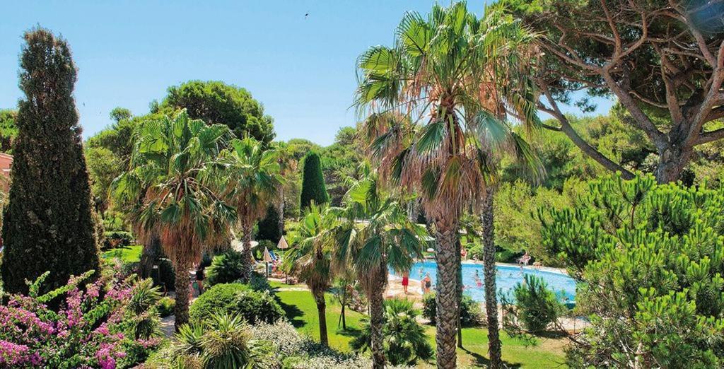 La Badine 5P Plage Piscine Clim Jacuzzi Parc Luxuriant Hyères Eksteriør billede
