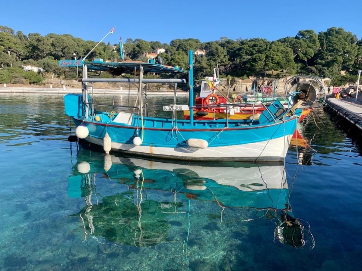 La Badine 5P Plage Piscine Clim Jacuzzi Parc Luxuriant Hyères Eksteriør billede